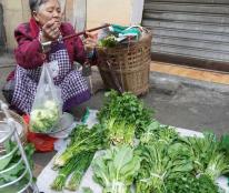 如风营销：摆摊卖菜有学问--营销细微之处见真章