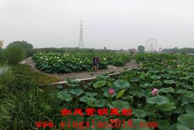 如风营销：手机店实战营销,看完必有收获