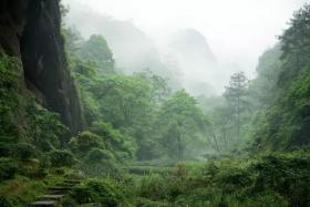 如风营销：牛肉“茶”的知识