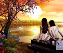 如风营销：什么是幸福？
