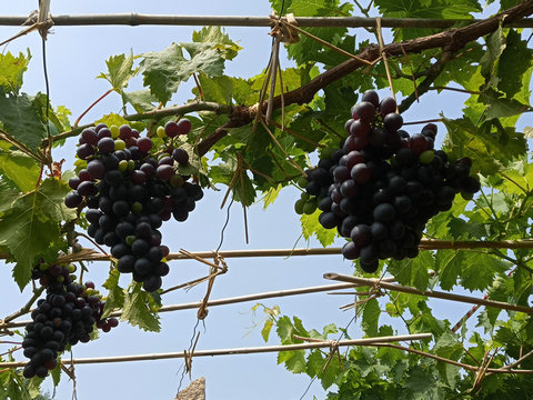 药店这些办法可以吸引顾客进店