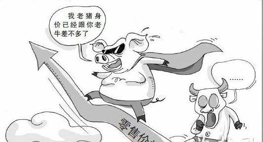 猪肉价格 猪肉价格