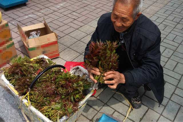 “免费培训班”营销模式，免费逻辑背后的关系